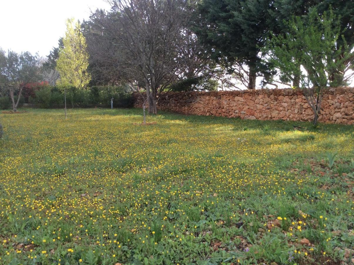 Villa Faro Provence Var Montfort-sur-Argens エクステリア 写真